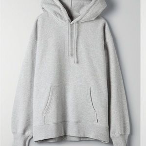 Aritzia TNA Boyfriend Hoodie
